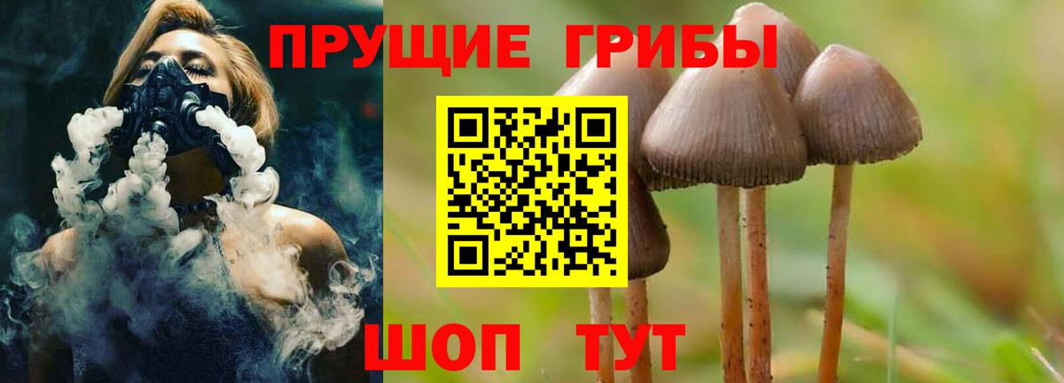 Усть-Джегута  Галлюциногенные грибы мицелий  Вход с VPN 